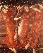 Sir Edward Coley Burne-Jones The Garden of the Hesperides oil painting on canvas